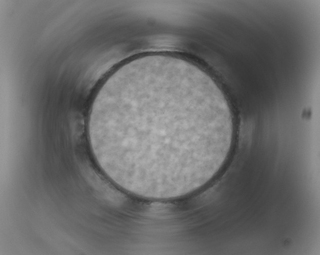 X0000112841449200910021056