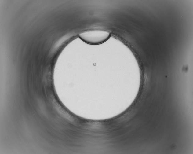 X0000112841450200910021056