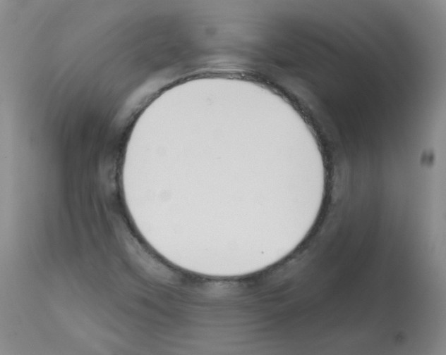 X0000112841451200910021056