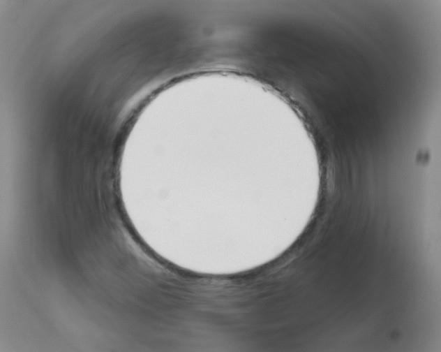 X0000112841452200910021056