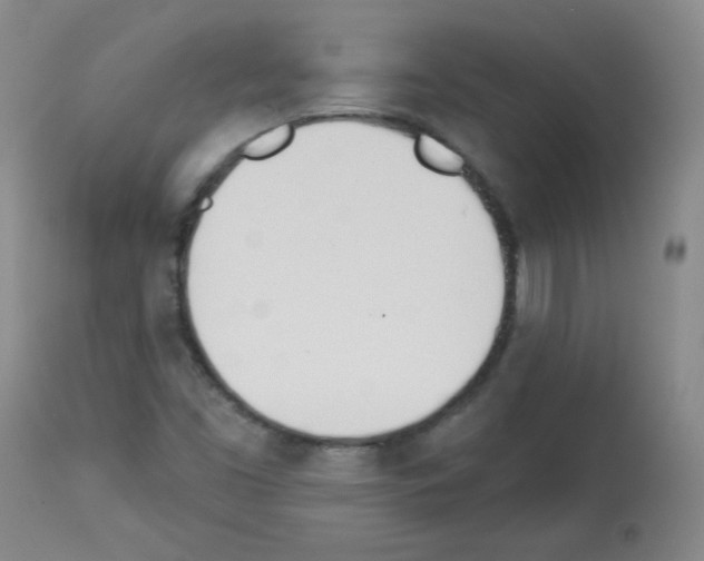 X0000112841453200910021056