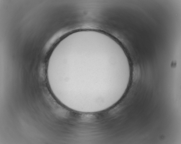 X0000112841454200910021056