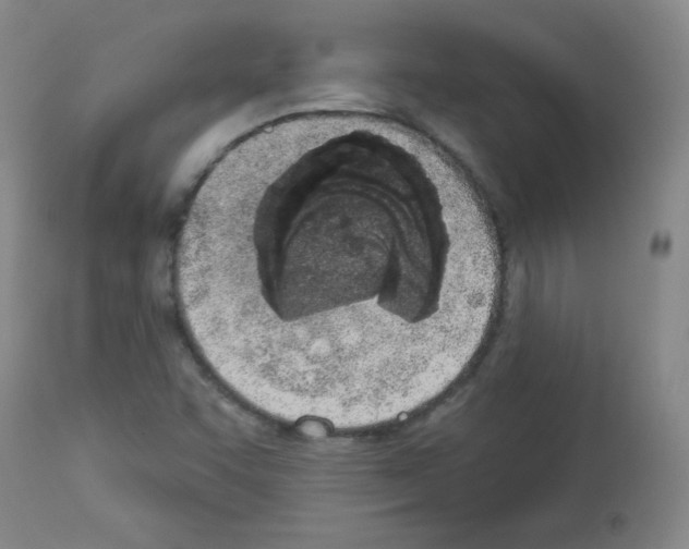 X0000112841455200910021056