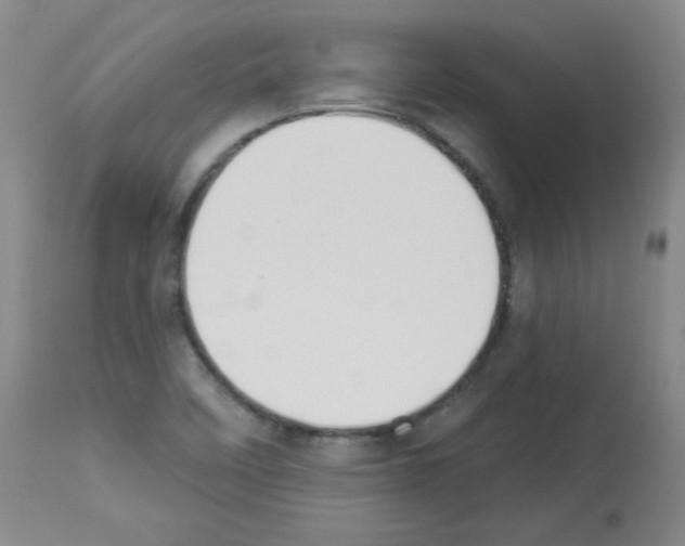 X0000112841458200910021056