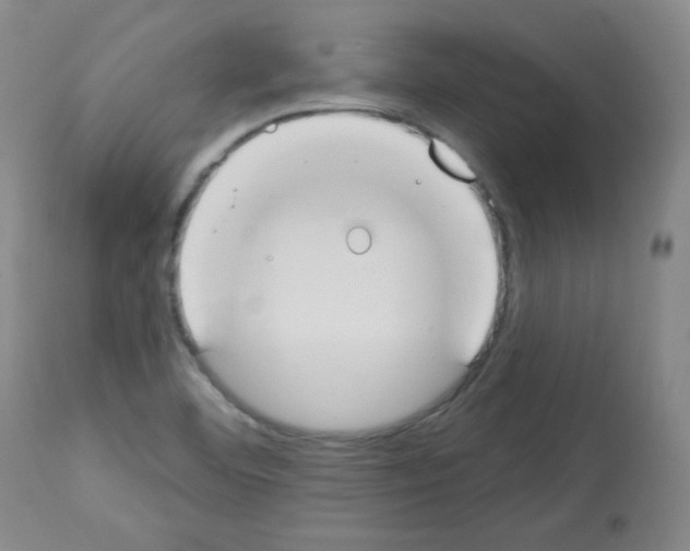 X0000112841460200910021056