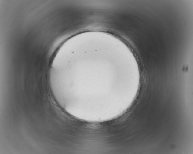 X0000112841461200910021056