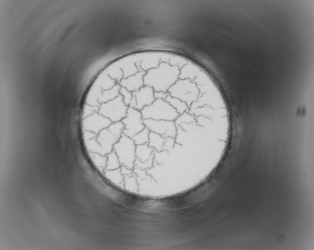 X0000112841463200910021056