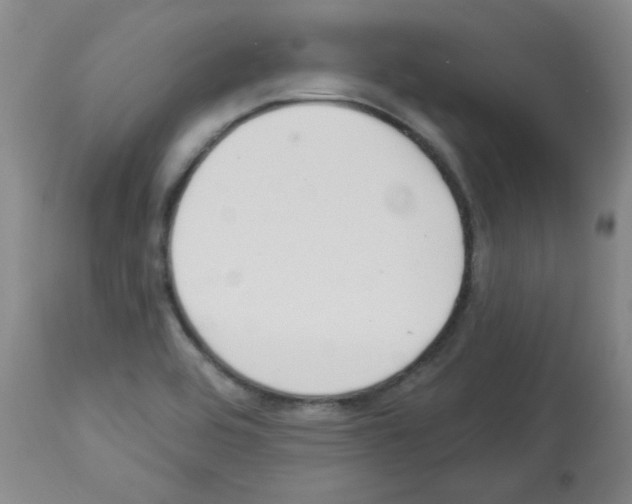 X0000112841464200910021056