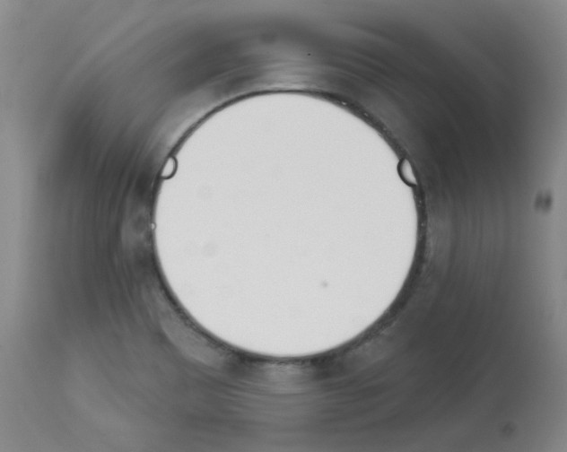 X0000112841465200910021056