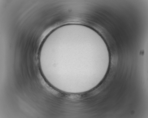 X0000112841466200910021056