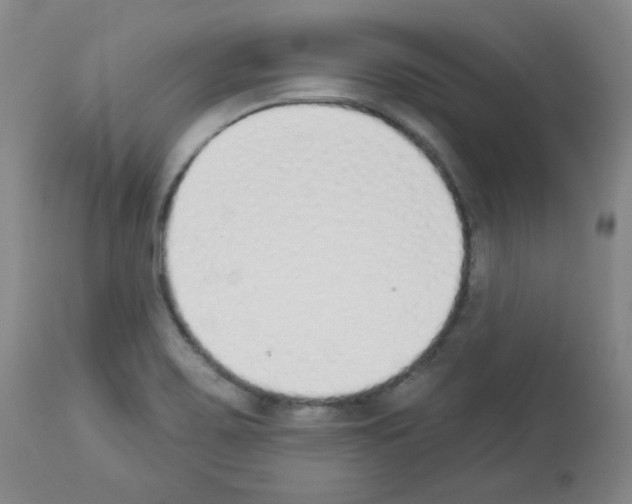 X0000112841467200910021056