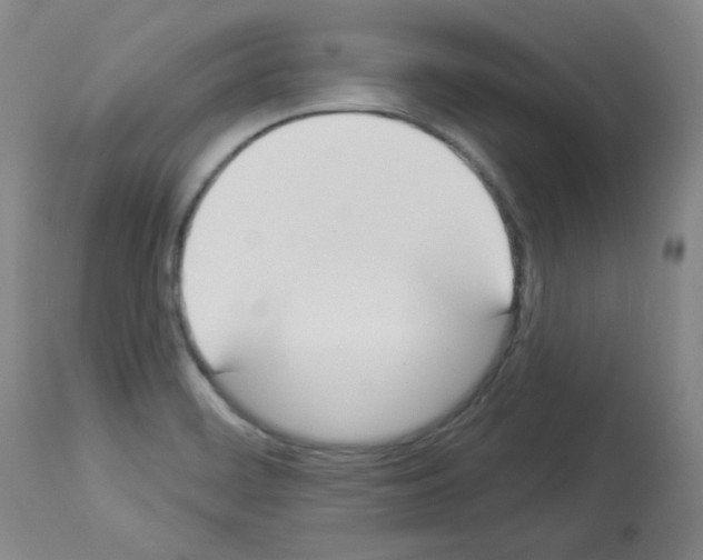 X0000112841468200910021056