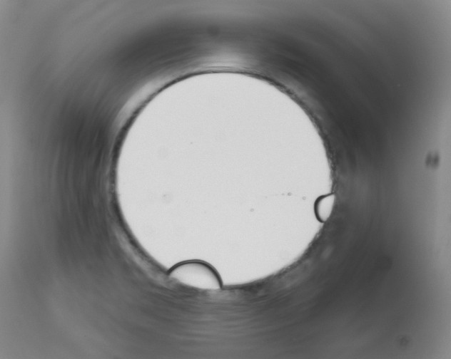 X0000112841469200910021056