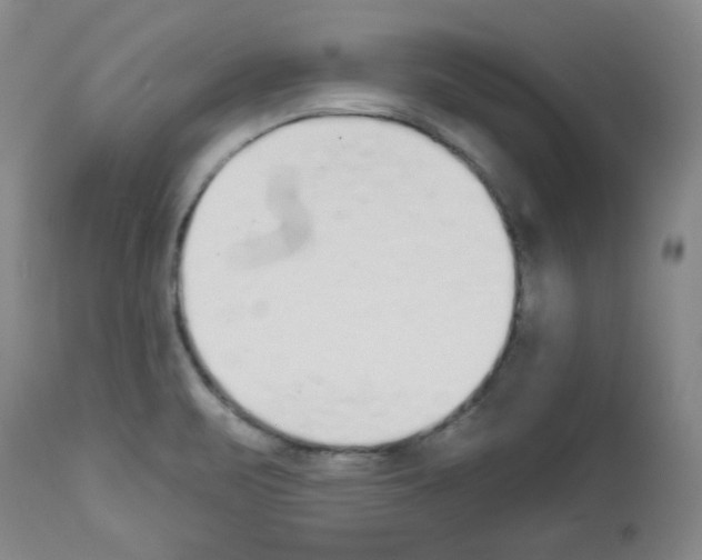 X0000112841471200910021056