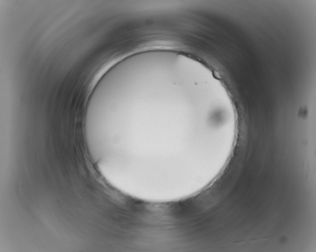 X0000112841473200910021056