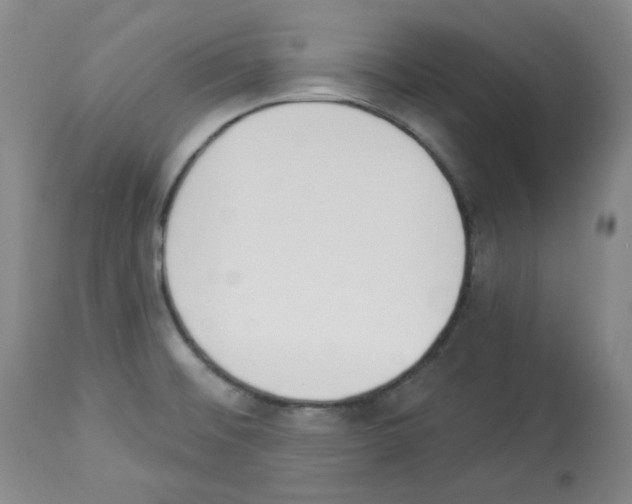 X0000112841476200910021055