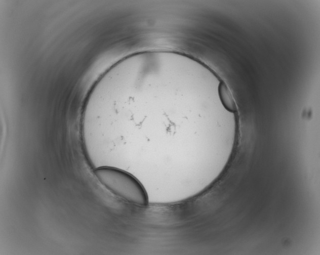 X0000112841477200910021055