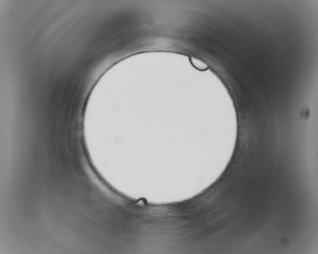 X0000112841479200910021055