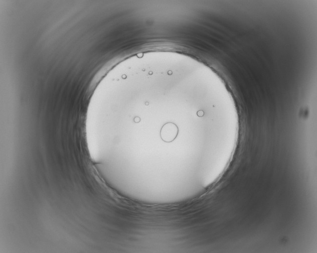 X0000112841481200910021055