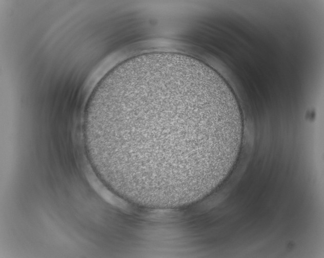 X0000112841482200910021055