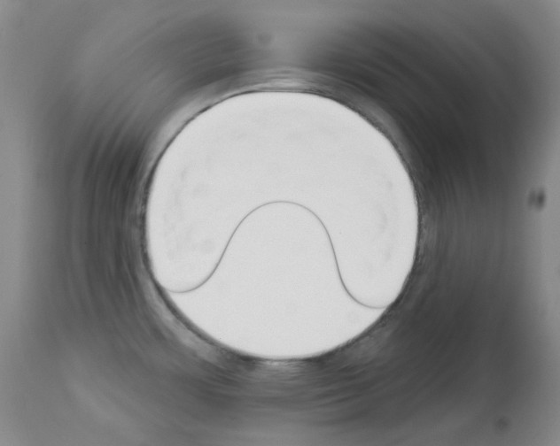 X0000112841483200910021055