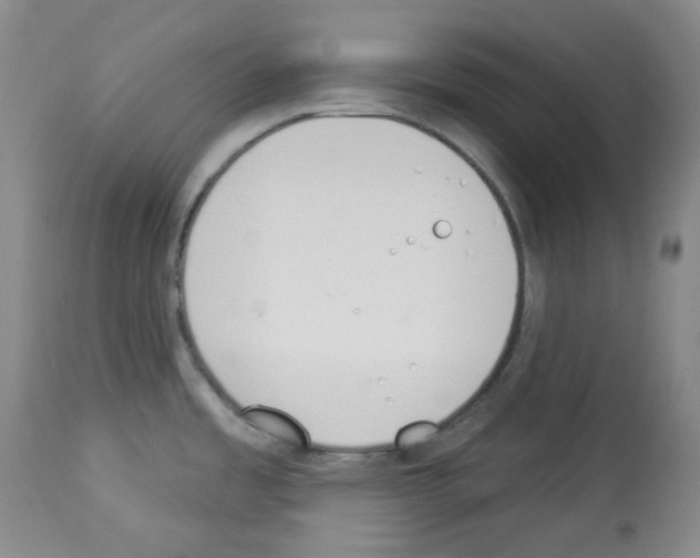 X0000112841485200910021055