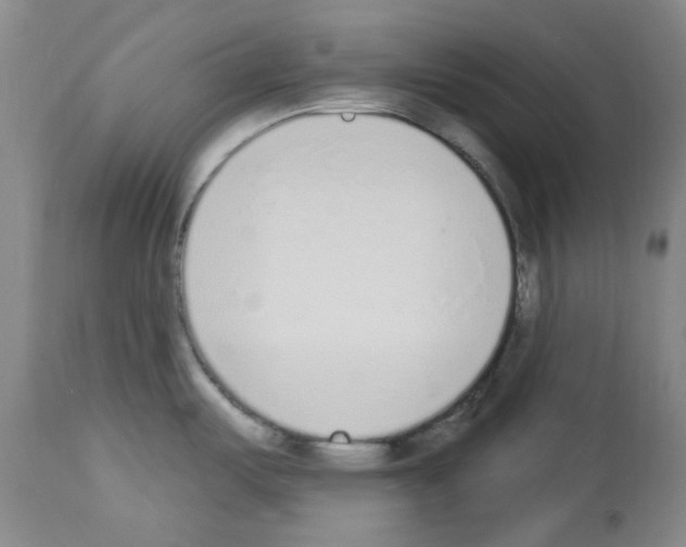 X0000112841487200910021055