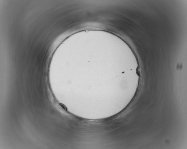 X0000112841488200910021055