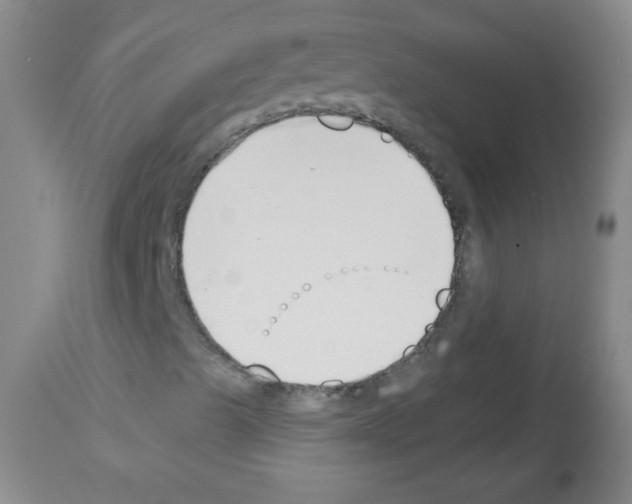 X0000112841489200910021055