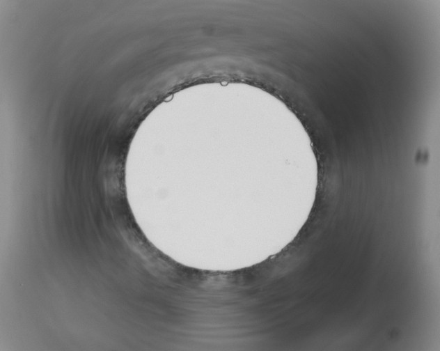 X0000112841490200910021055