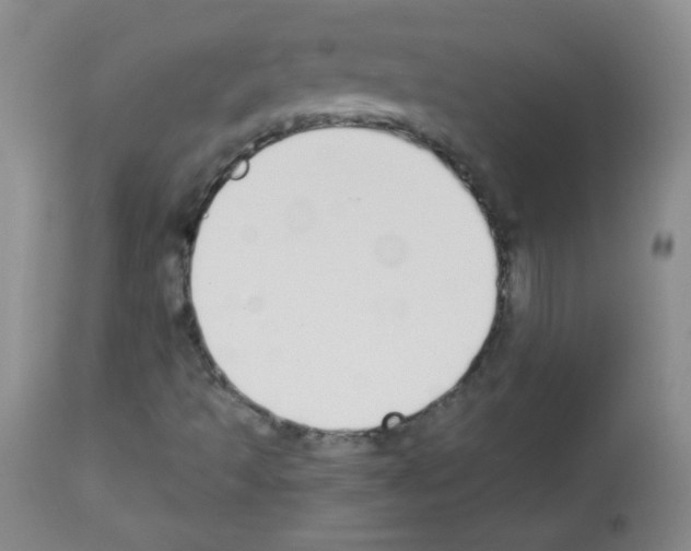 X0000112841493200910021055