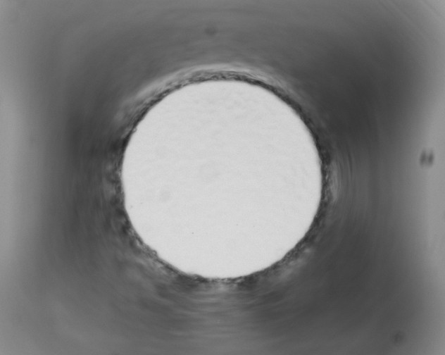 X0000112841494200910021055