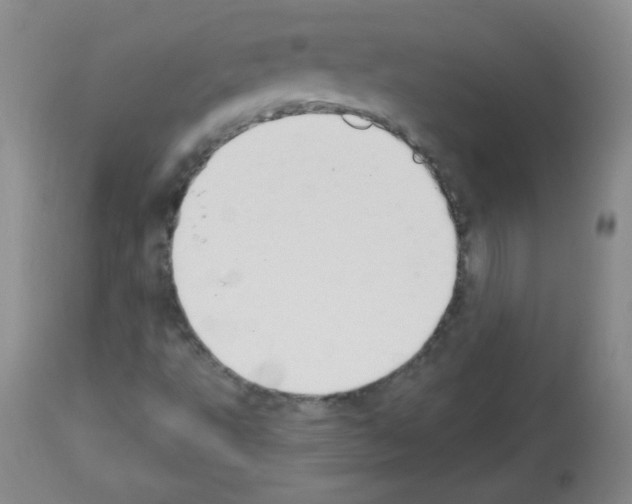 X0000112841495200910021055