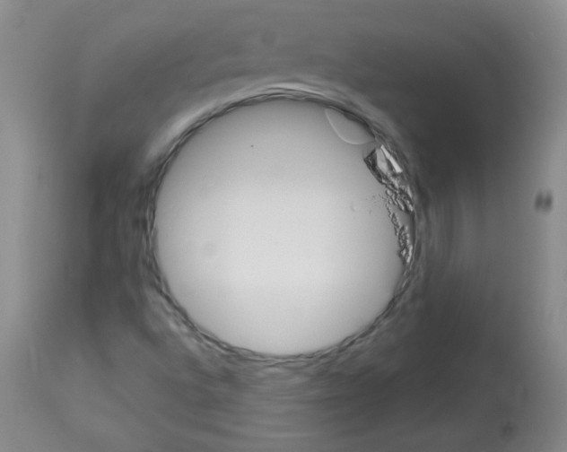 X0000112841496200910021055