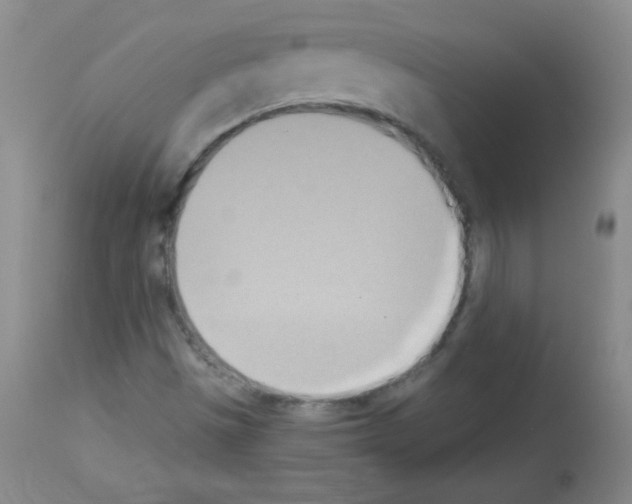 X0000112841497200910021055