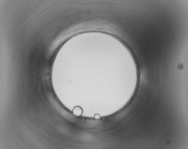 X0000112841498200910021055