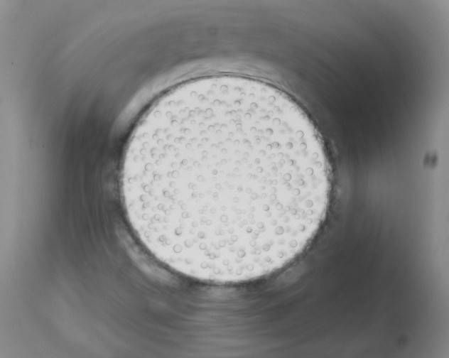 X0000112841499200910021055