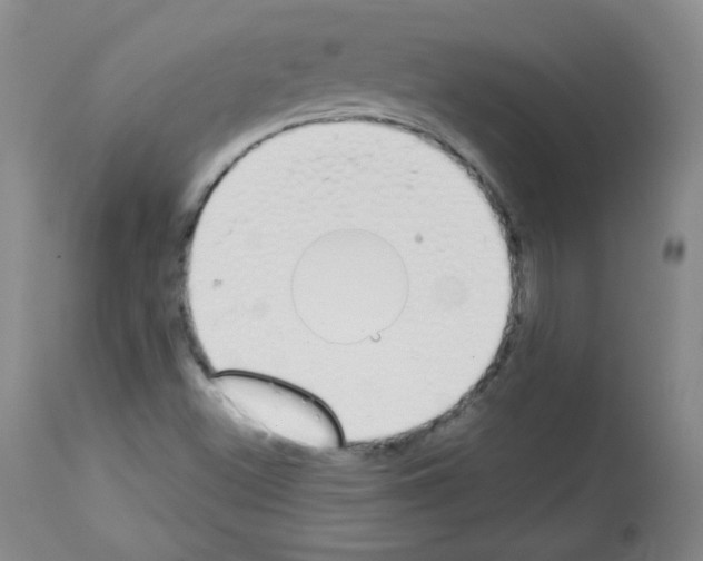 X0000112841500200910021055