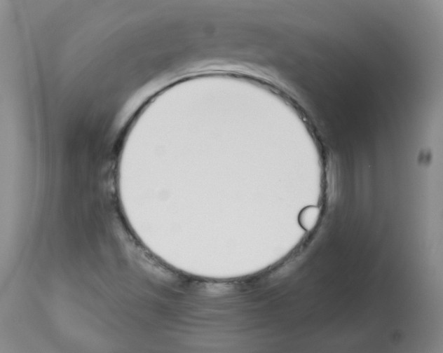 X0000112841501200910021055