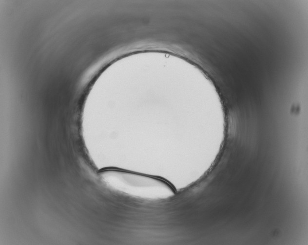 X0000112841502200910021055