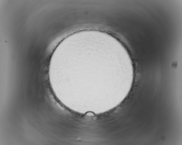 X0000112841504200910021055