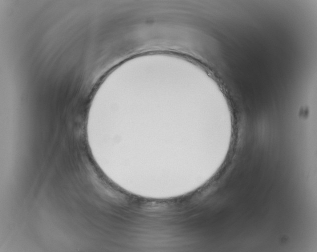 X0000112841505200910021055