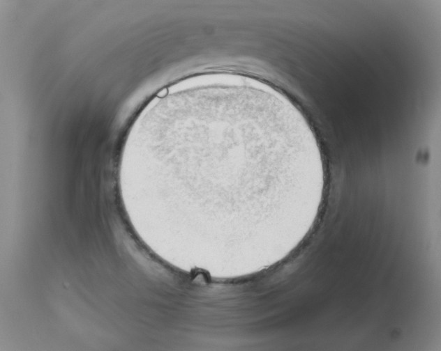 X0000112841506200910021055