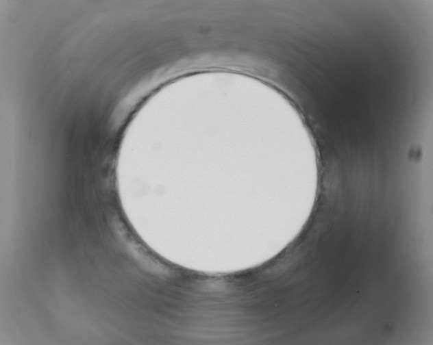 X0000112841507200910021055