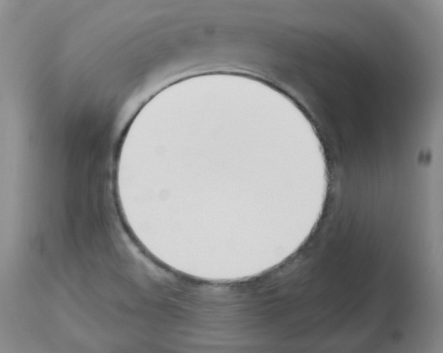 X0000112841508200910021055