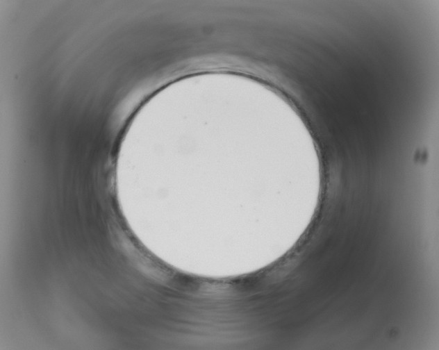 X0000112841509200910021055