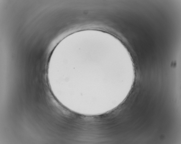 X0000112841512200910021055