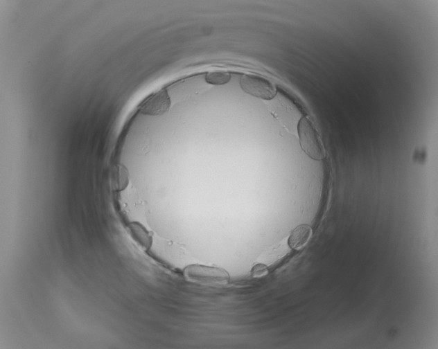 X0000112841514200910021055