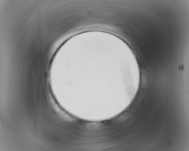 X0000112841515200910021055