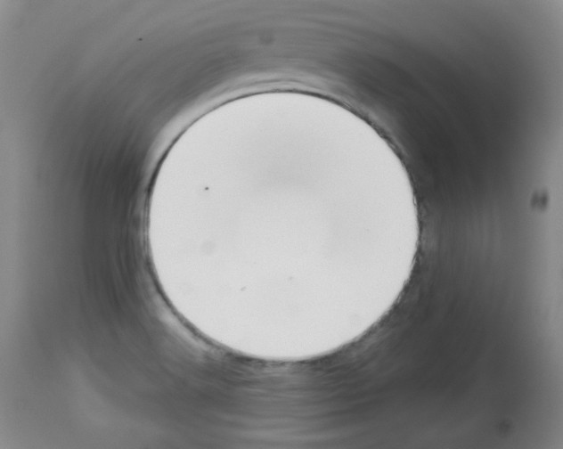 X0000112841516200910021055